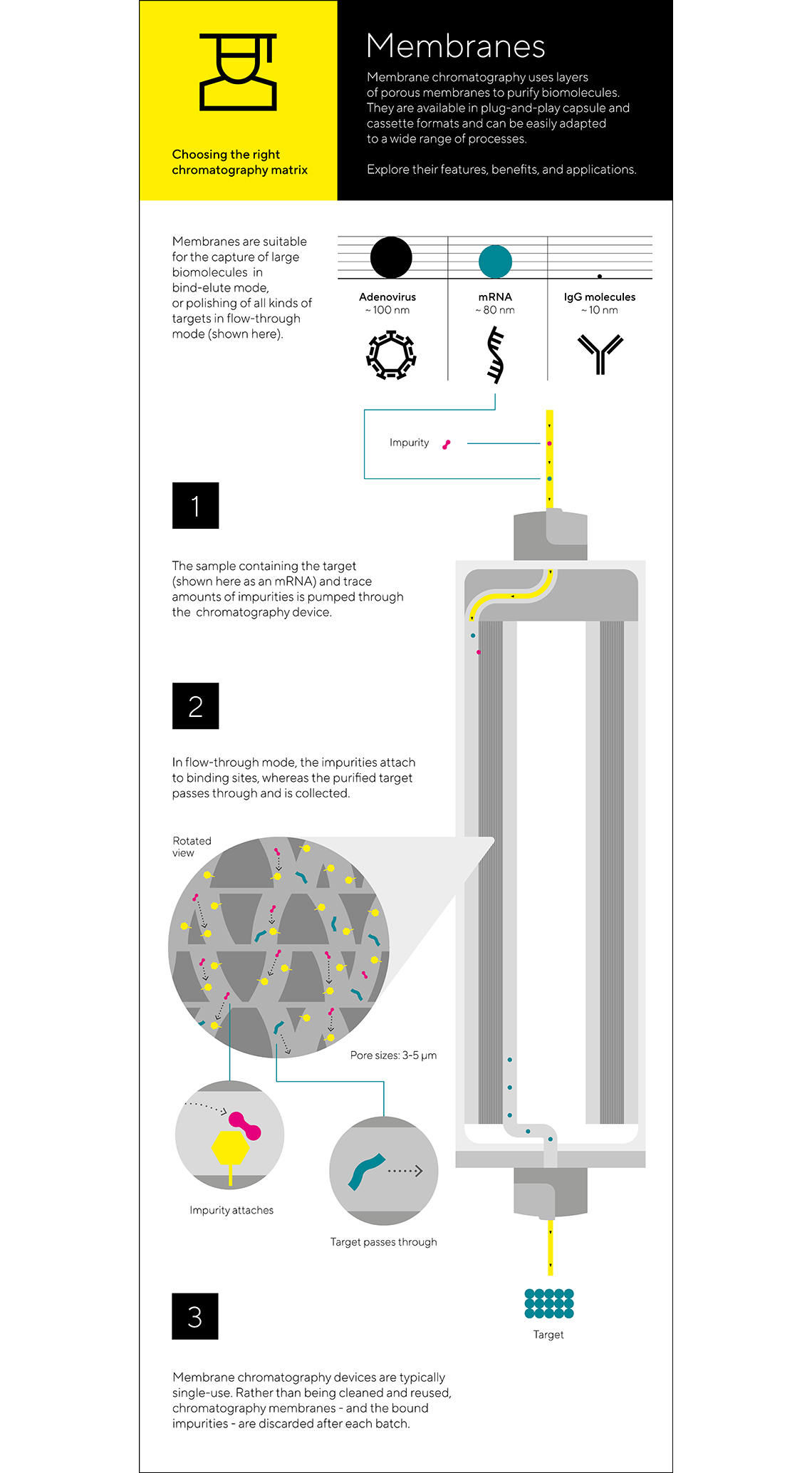 Chromatography Methods Membrane Chromatography
