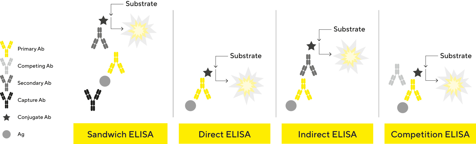 Elisa Conception And Applications