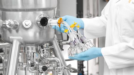 Stainless Steel Bioreactors & Fermenters | Sartorius