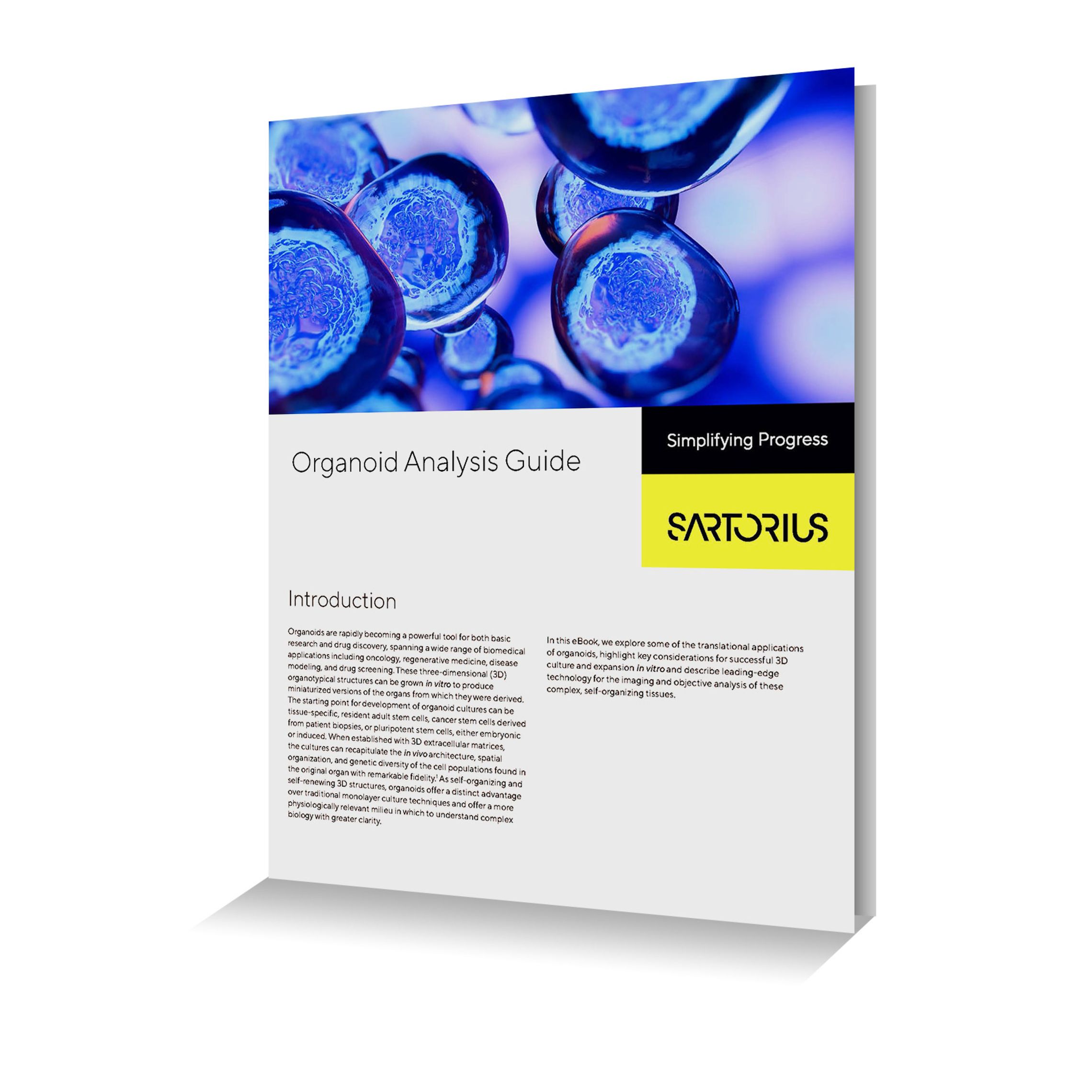 Ebook Organoid Analysis Guide Sartorius