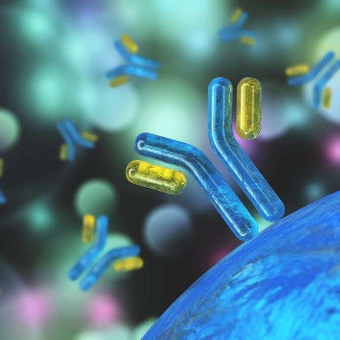Antibody Binding Assays Sartorius