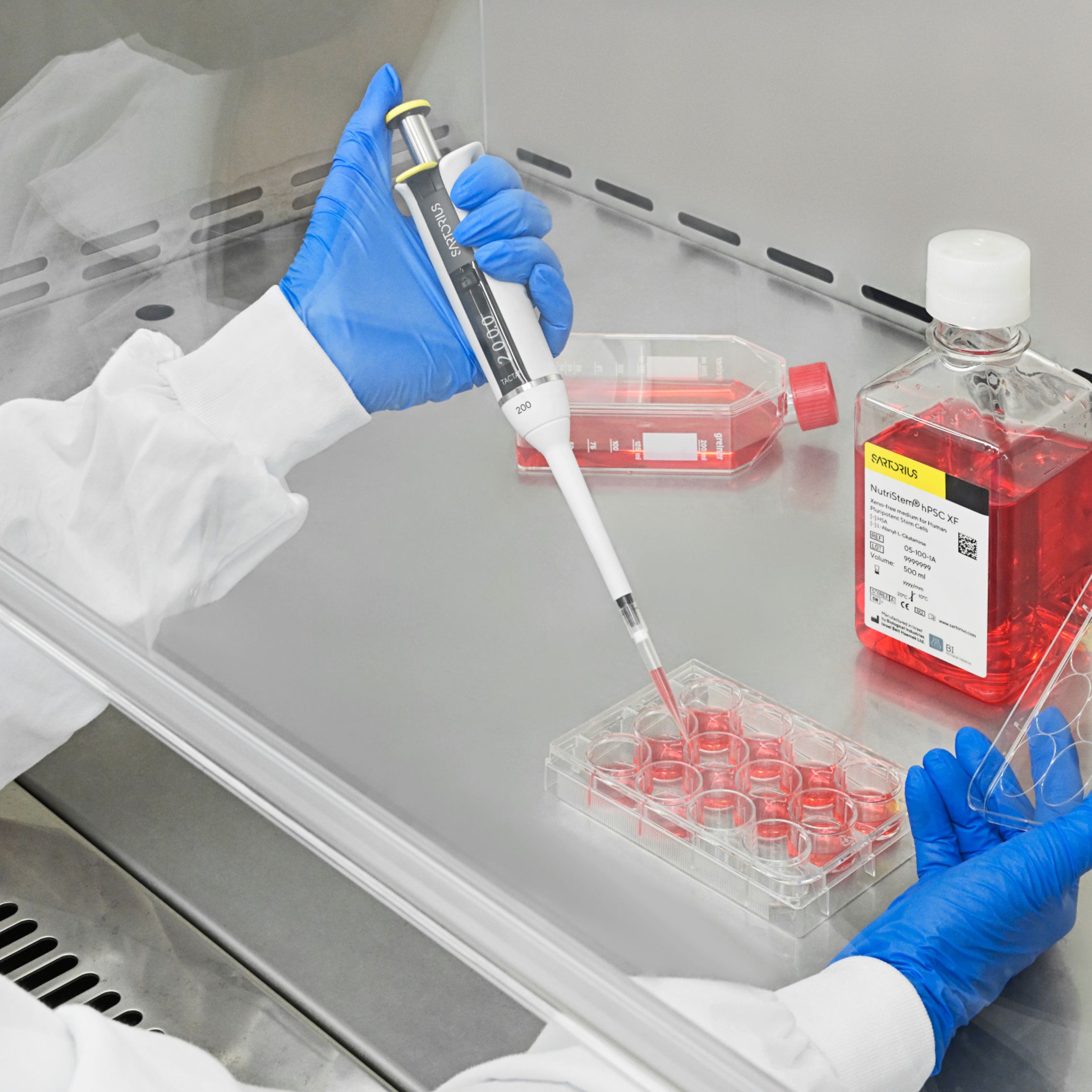 An Introduction to the Evolution of Human Pluripotent Stem Cell Culture ...
