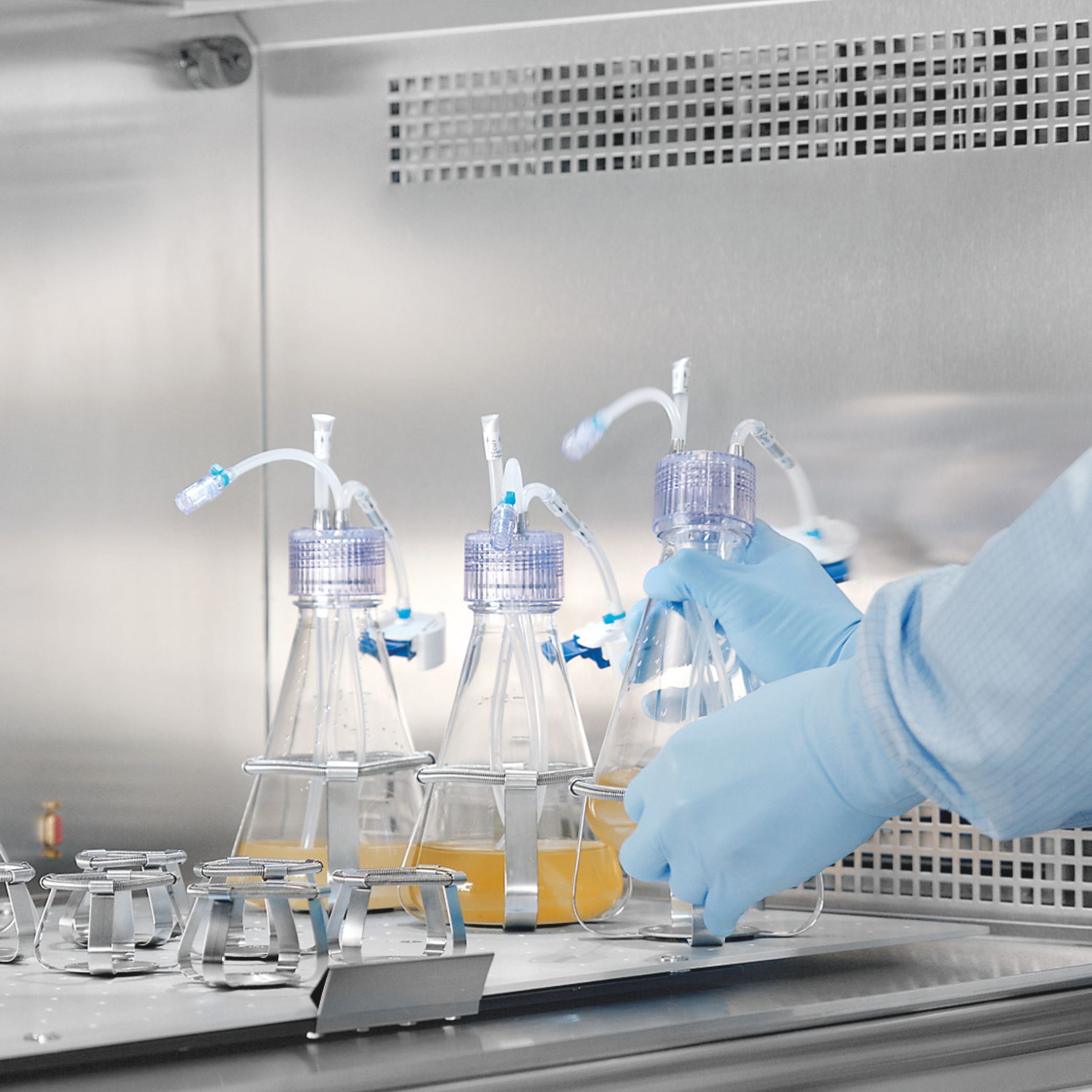 Cell Expanderfog Cell Expansion