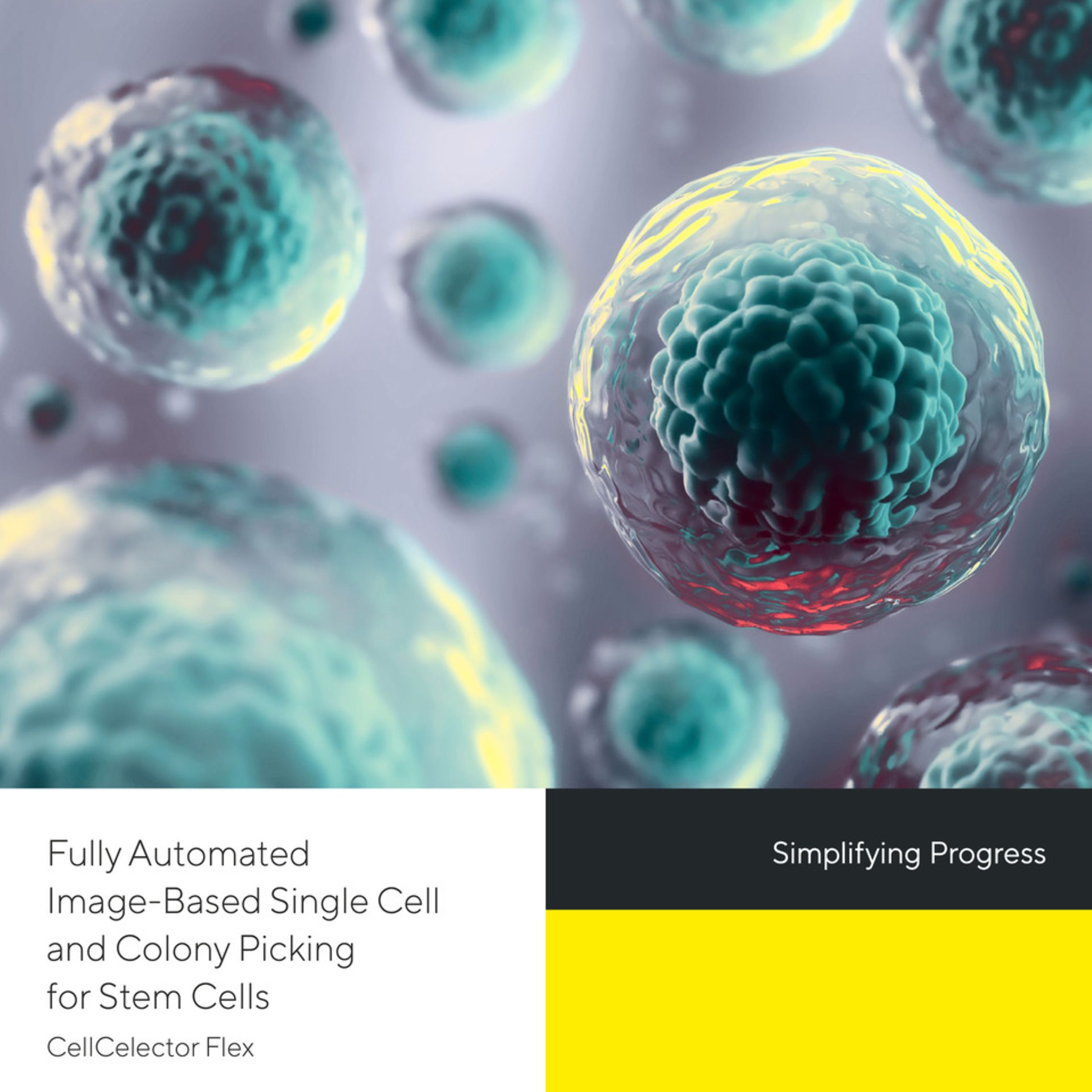 Enhancing Survival: Novel Methods for Stem Cell Colony Selection and ...
