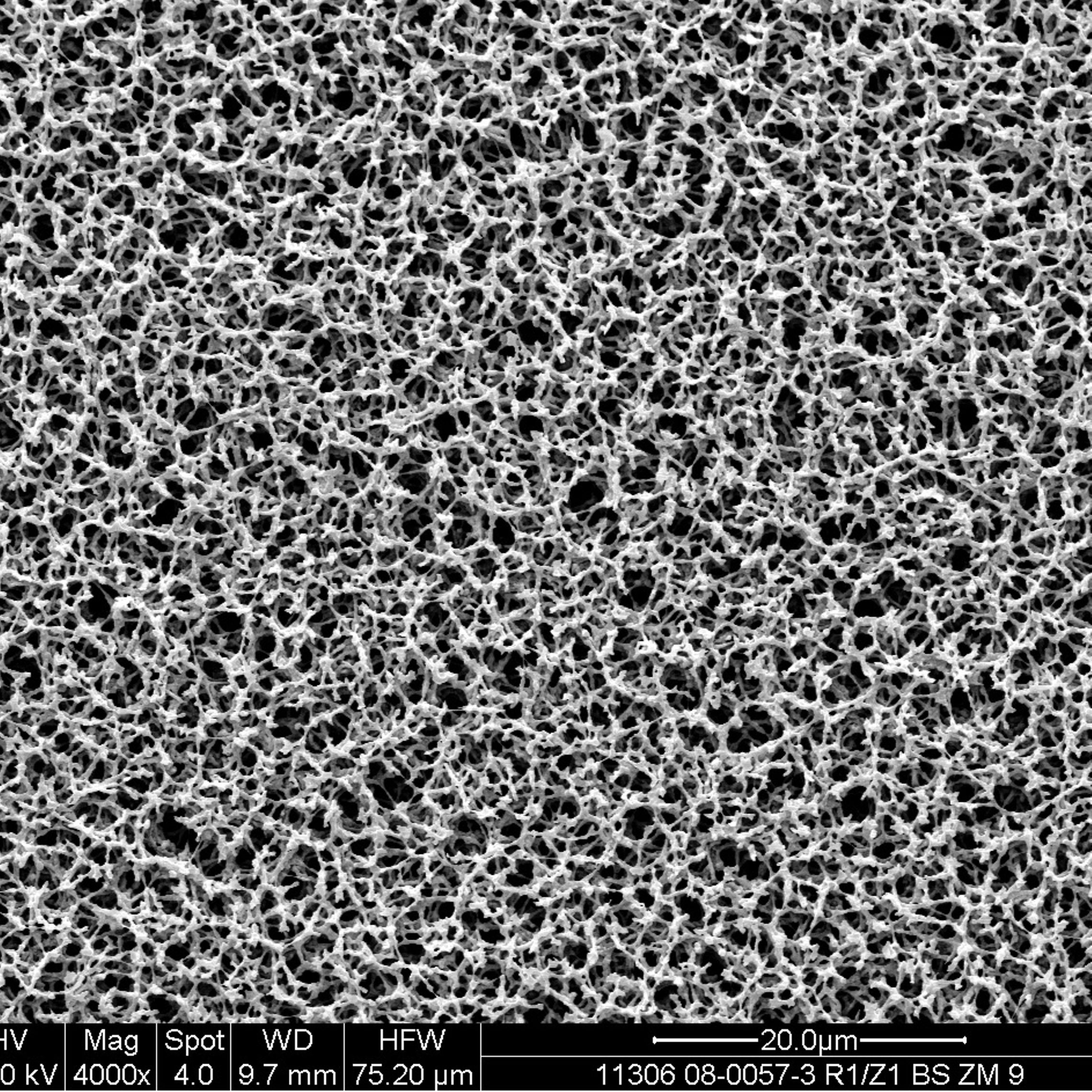 Membrane Filtration Membrane Filters Sartorius