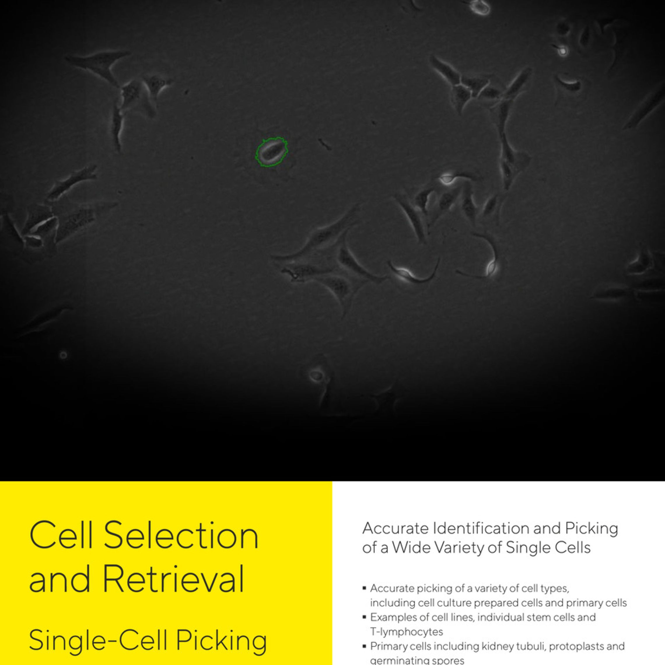 SingleCell Picking Technical Note Cell Selection and Retrieval