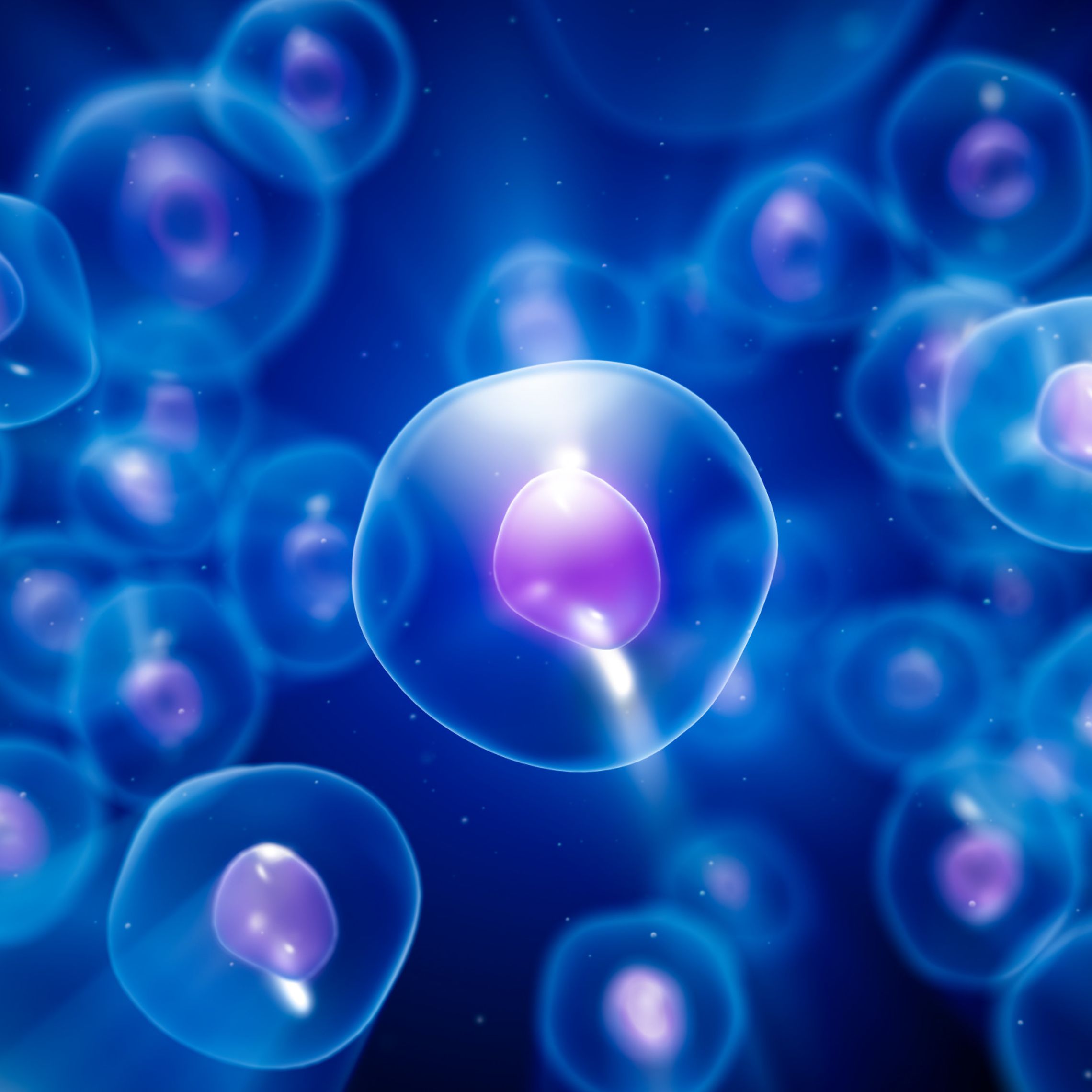 Capturing New Compound Insights in Long-Term Live-Cell Assays ...