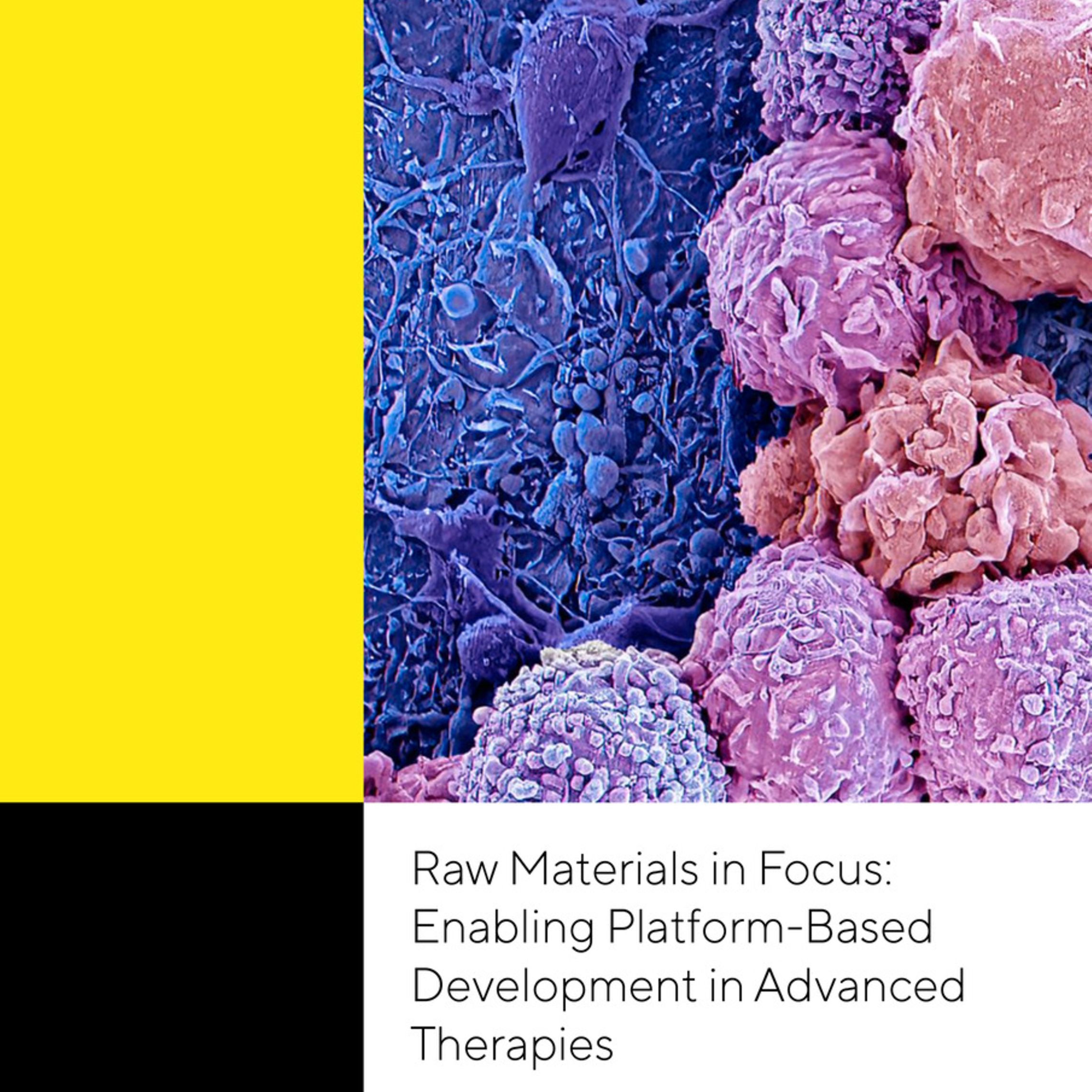 Raw Materials in Focus: Enabling Platform-Based ATMP Development