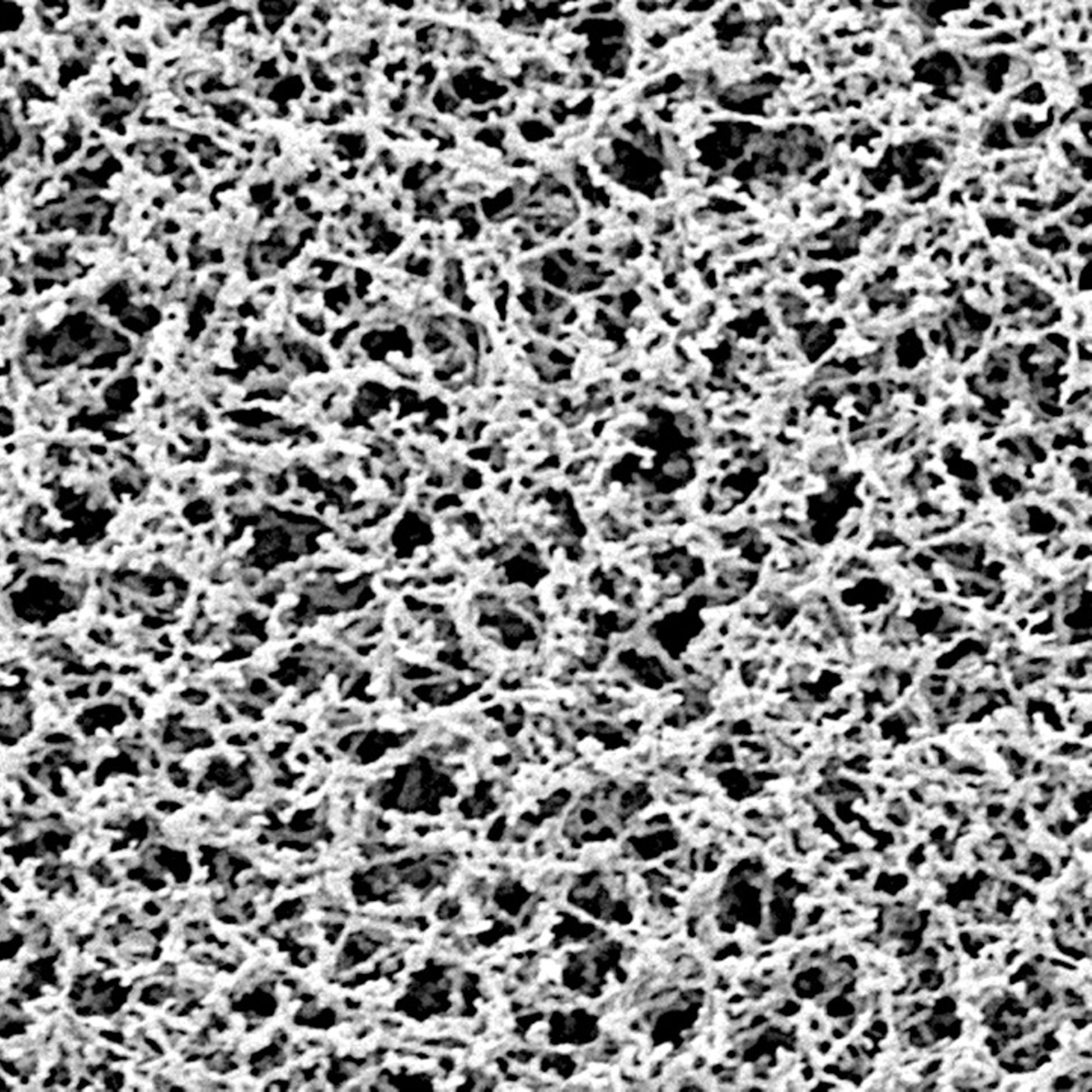 Membrane Filtration Membrane Filters Sartorius