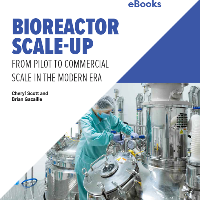 Bioreactor Scale Up From Pilot to Commercial Scale