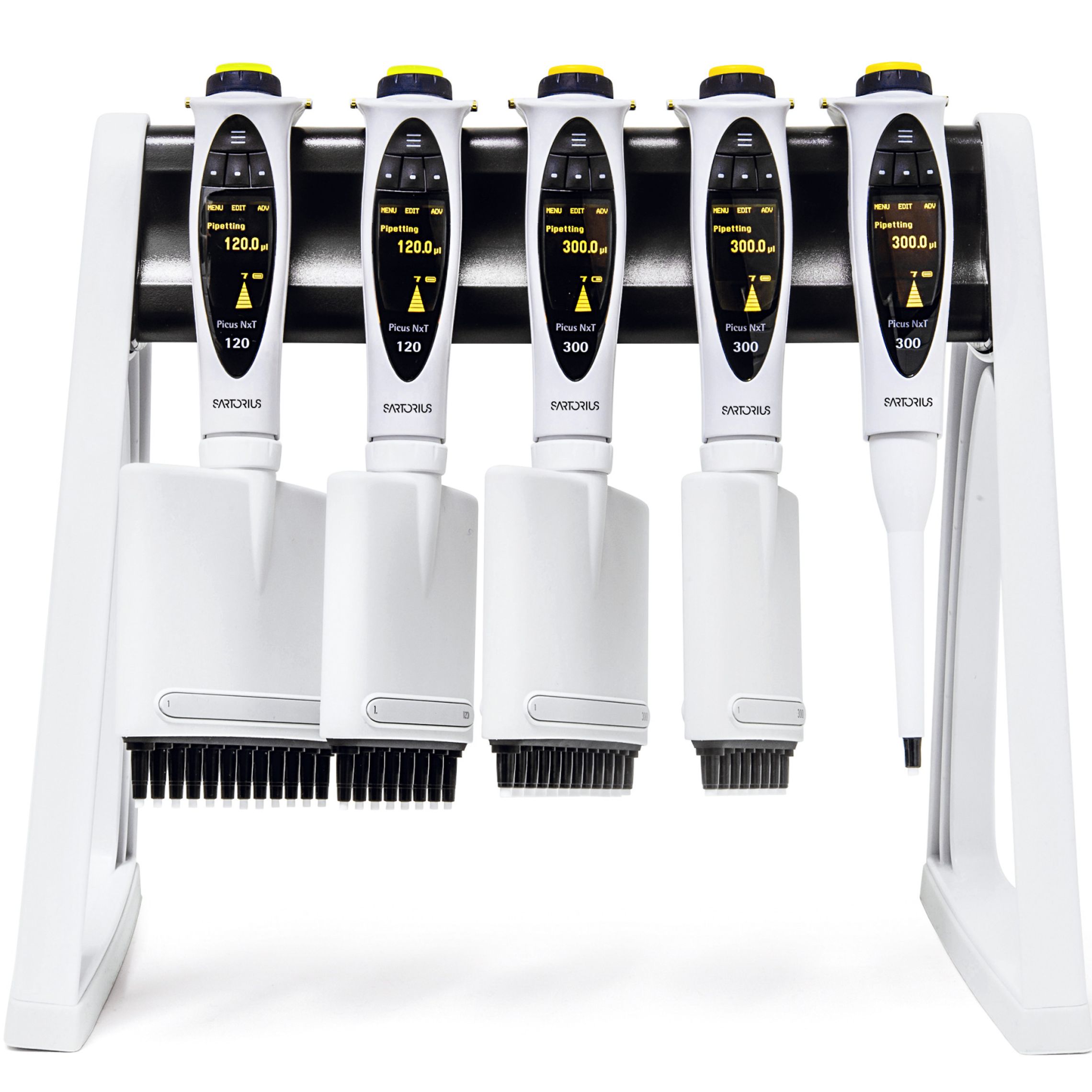 Electronic Pipettes / Pipettors for Laboratories Picus® 2 Sartorius