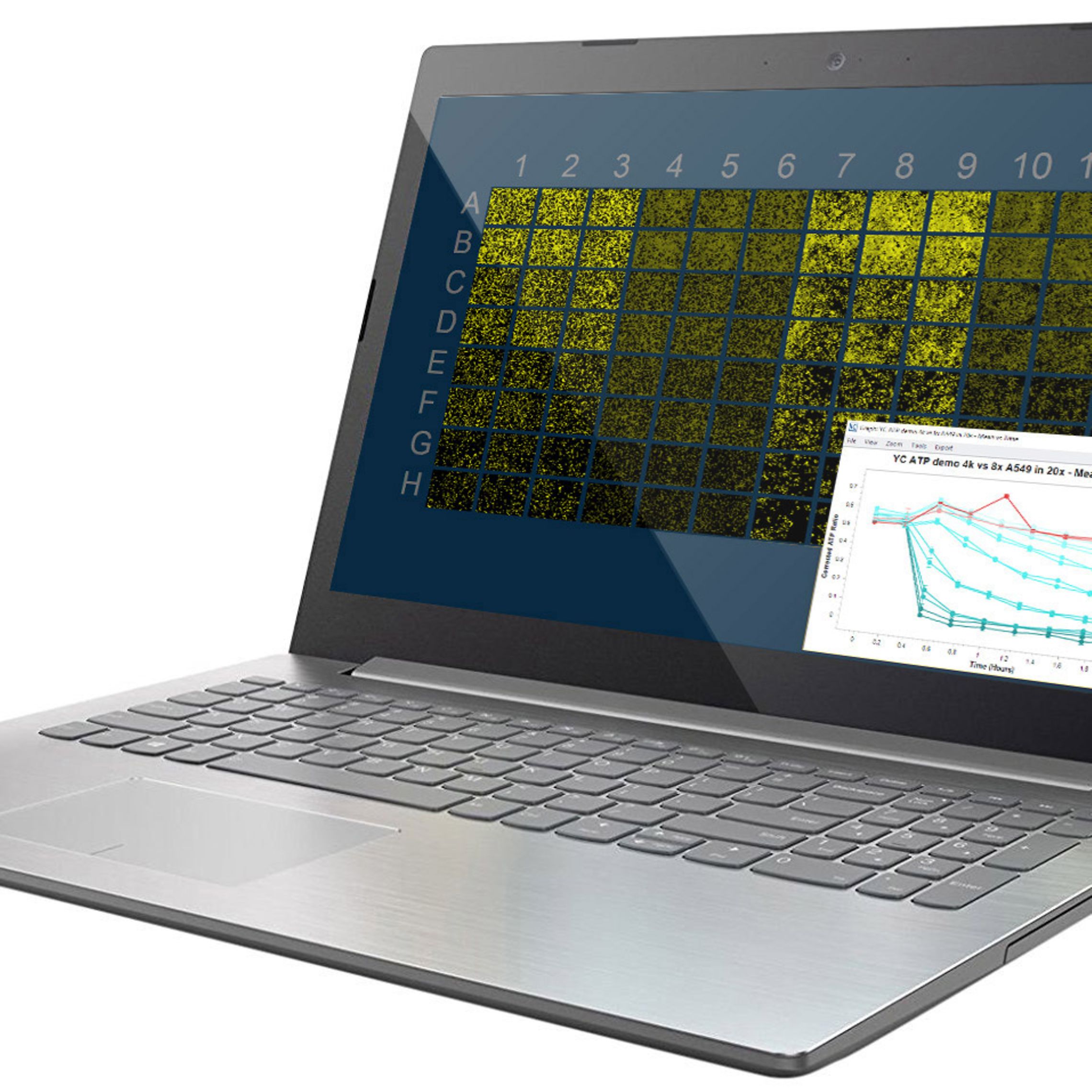 Incucyte ATP Analysis Software | Sartorius