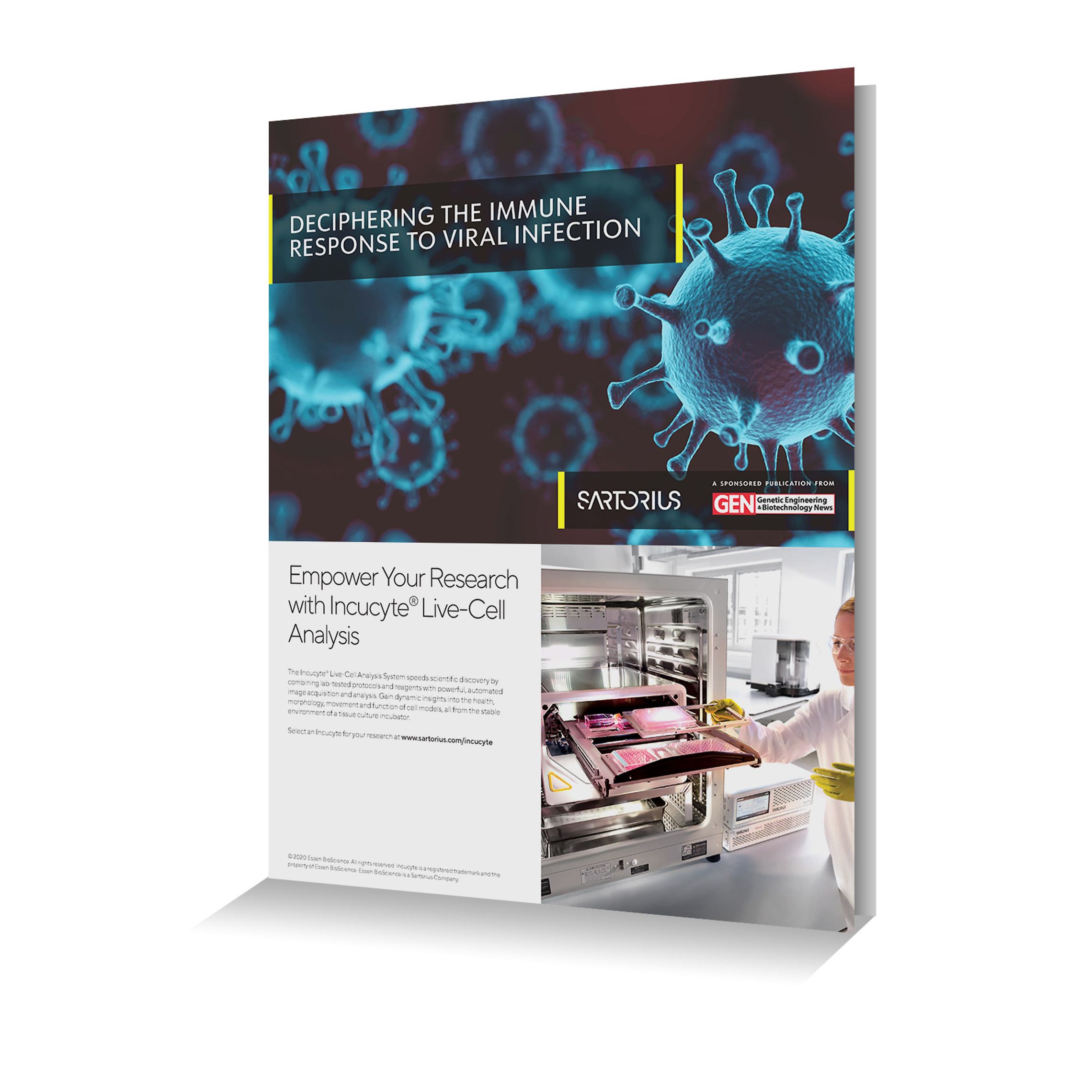 Deciphering The Immune Code: Cell Types & Their Responses - y74nfte