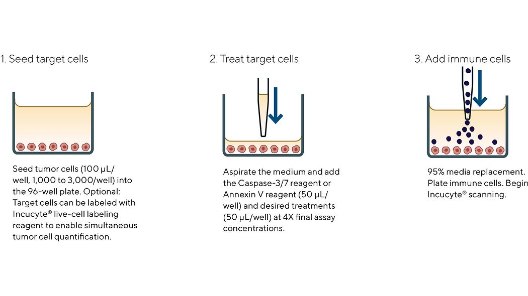 Immune Cell Killing