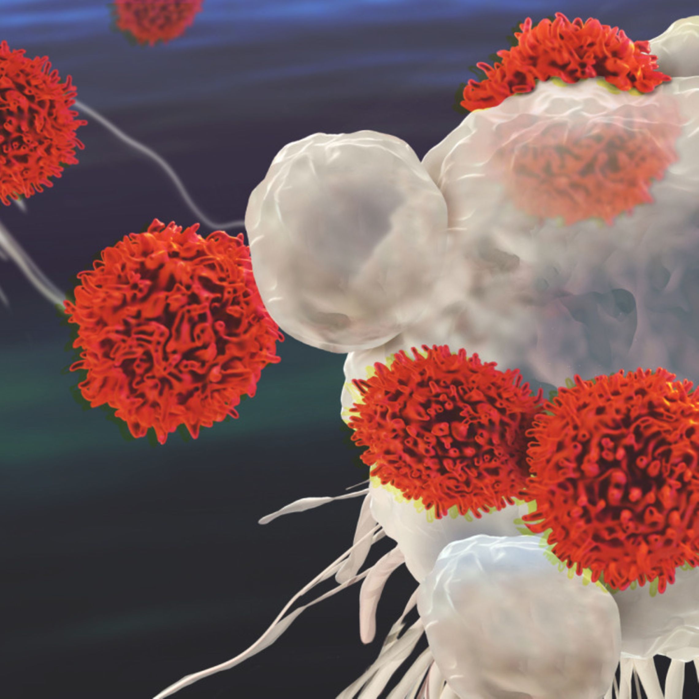 Cell Analysis Solutions for Cell Therapy Research | Sartorius