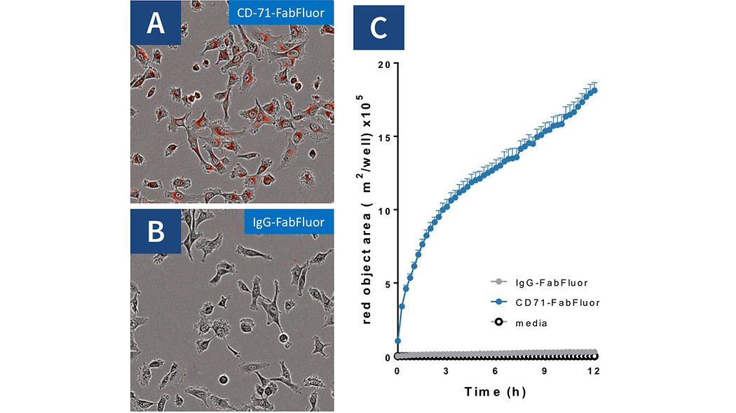 Antibody Internalization Sartorius
