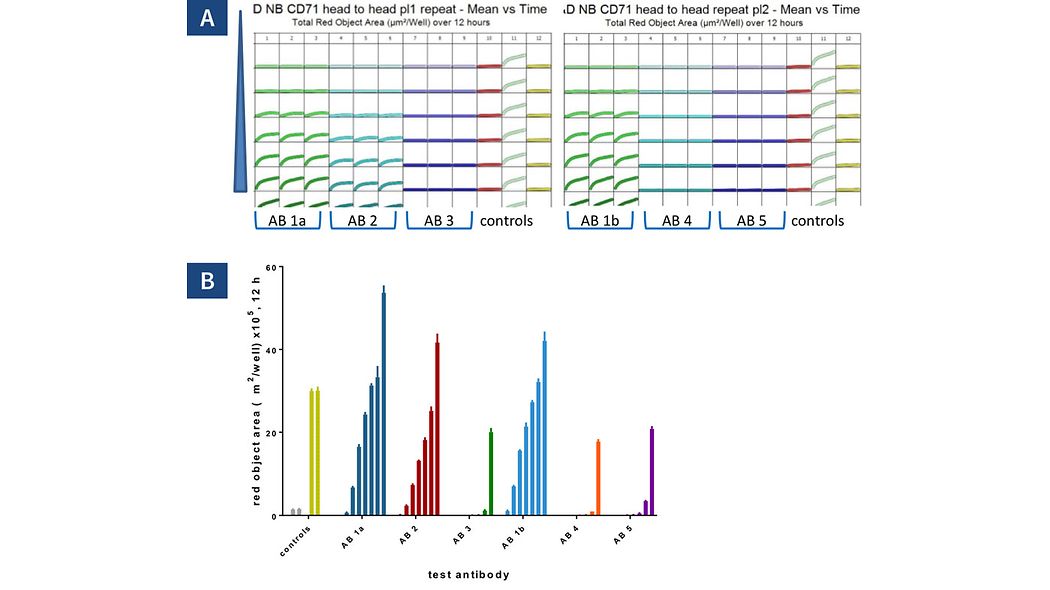 Antibody Internalization Sartorius