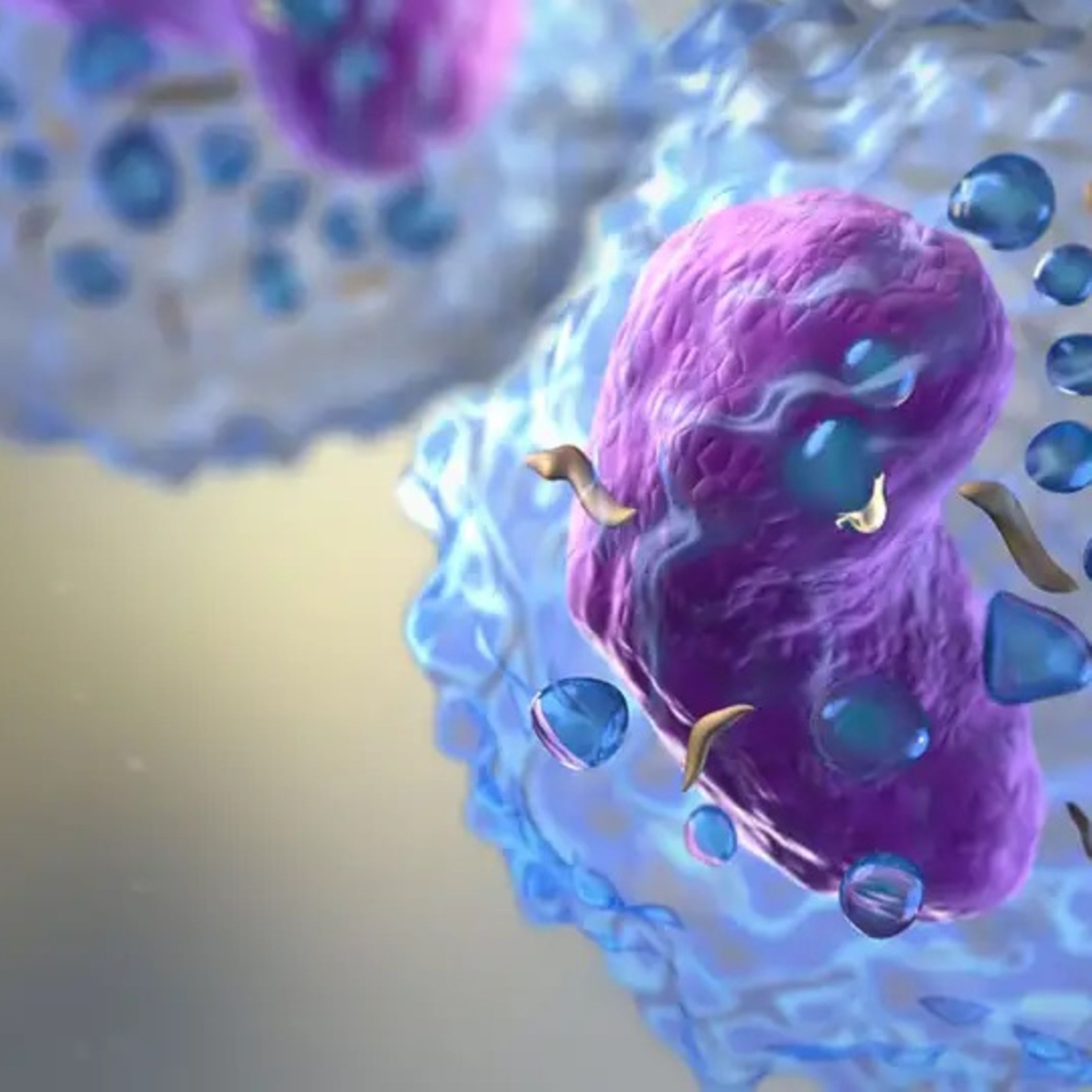 B-Cells | Sartorius