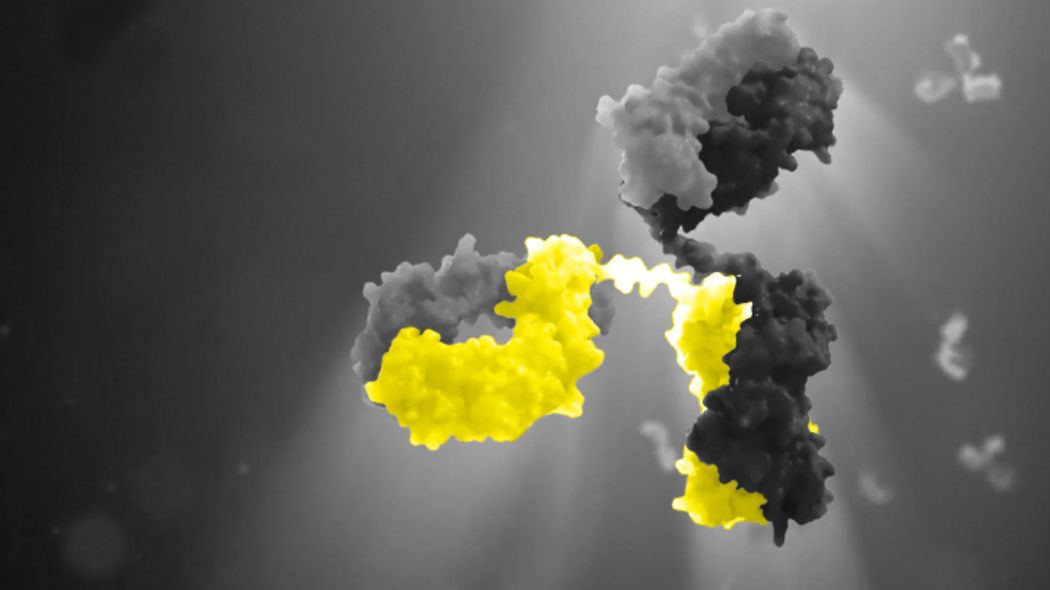 LabelFree Detection Sartorius