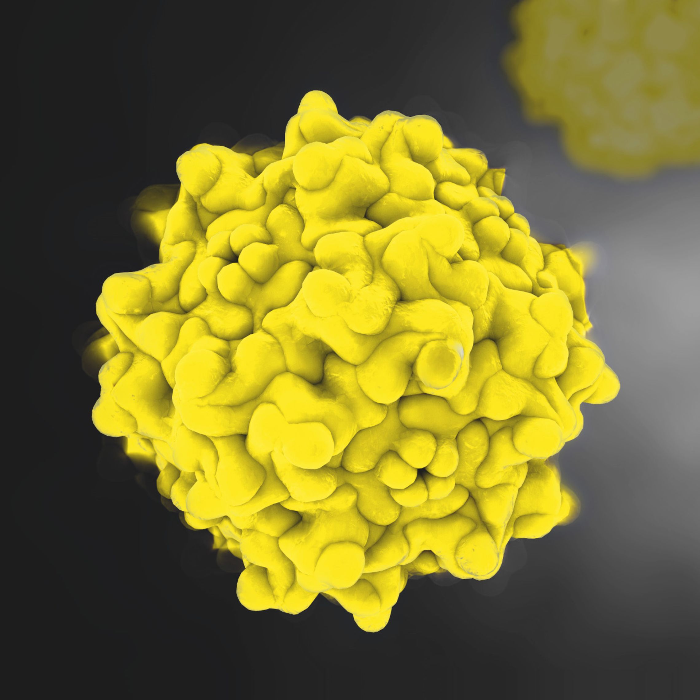 File Injector Virus Vector Success Screen, Optimize, and Characterize Your Viral Vector Production ...