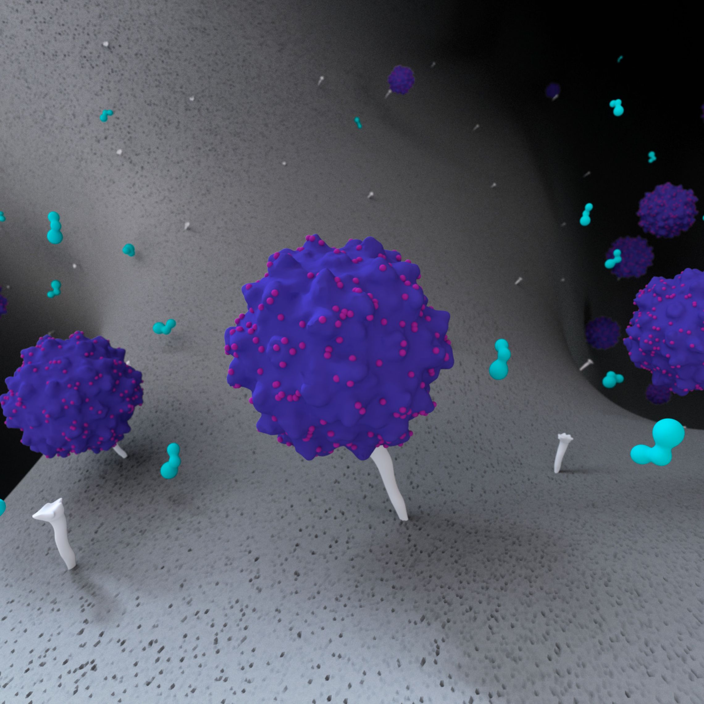 アフィニティークロマトグラフィーのアニメーション